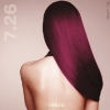 Bild von Mittelblond Violett Rot