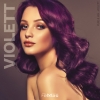 Bild von Violett